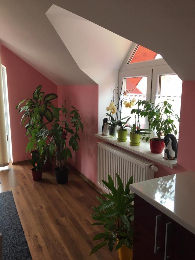 Privat Daniela Strba Apartment Екстериор снимка